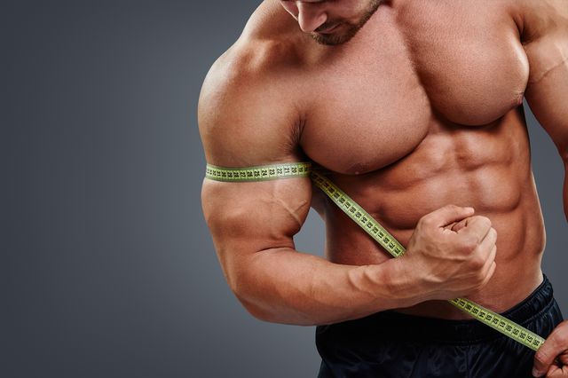 Muscle Transformation Fitness Programs